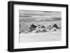 Aerial View of Clouds, Guyana-Keren Su-Framed Photographic Print