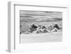 Aerial View of Clouds, Guyana-Keren Su-Framed Photographic Print