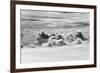 Aerial View of Clouds, Guyana-Keren Su-Framed Photographic Print