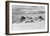 Aerial View of Clouds, Guyana-Keren Su-Framed Photographic Print