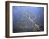 Aerial View of Coastal Landscape at Low Tide with Channels and Pools, Hallig, Germany, April 2009-Novák-Framed Photographic Print