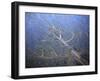 Aerial View of Coastal Landscape at Low Tide with Channels and Pools, Hallig, Germany, April 2009-Novák-Framed Photographic Print