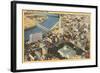 Aerial View of Columbus, Ohio-null-Framed Art Print