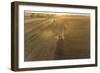 Aerial view of combine harvesting corn field at sunset, Marion County, Illinois-Richard & Susan Day-Framed Photographic Print