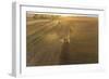 Aerial view of combine harvesting corn field at sunset, Marion County, Illinois-Richard & Susan Day-Framed Photographic Print