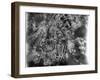 Aerial View of Crater-Riddle Railroad Junction at Bad Oldosloe after Allied Air Attack Nr. Lubeck-Margaret Bourke-White-Framed Photographic Print