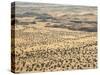 Aerial View of Damaraland, Kaokoland Wilderness in Nw Region, Namibia, Africa-Kim Walker-Stretched Canvas