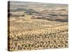 Aerial View of Damaraland, Kaokoland Wilderness in Nw Region, Namibia, Africa-Kim Walker-Stretched Canvas
