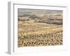 Aerial View of Damaraland, Kaokoland Wilderness in Nw Region, Namibia, Africa-Kim Walker-Framed Photographic Print