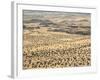 Aerial View of Damaraland, Kaokoland Wilderness in Nw Region, Namibia, Africa-Kim Walker-Framed Photographic Print