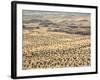 Aerial View of Damaraland, Kaokoland Wilderness in Nw Region, Namibia, Africa-Kim Walker-Framed Photographic Print