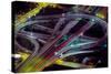 Aerial view of Dan Ryan Expressway and Eisenhower Expressway intersection in Chicago, Cook Count...-null-Stretched Canvas