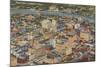 Aerial View of Dayton, Ohio-null-Mounted Art Print