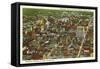 Aerial View of Denver, Colorado-null-Framed Stretched Canvas