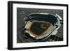 Aerial View of Dodger Stadium with Parking Lots-null-Framed Photographic Print