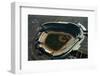 Aerial View of Dodger Stadium with Parking Lots-null-Framed Photographic Print