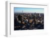 Aerial View of Downtown Johannesburg-Charles O'Rear-Framed Photographic Print