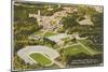 Aerial View of Duke University, Durham, North Carolina-null-Mounted Art Print