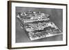 Aerial View of Ellis Island Immigration Station, New York, USA, 1926-null-Framed Giclee Print