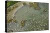 Aerial View of European Flamingo Flock in Flight, Bahía De Cádiz Np, Cádiz, Andalusia, Spain-López-Stretched Canvas