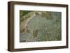 Aerial View of European Flamingo Flock in Flight, Bahía De Cádiz Np, Cádiz, Andalusia, Spain-López-Framed Photographic Print