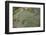 Aerial View of European Flamingo Flock in Flight, Bahía De Cádiz Np, Cádiz, Andalusia, Spain-López-Framed Photographic Print