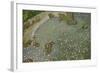 Aerial View of European Flamingo Flock in Flight, Bahía De Cádiz Np, Cádiz, Andalusia, Spain-López-Framed Photographic Print