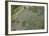 Aerial View of European Flamingo Flock in Flight, Bahía De Cádiz Np, Cádiz, Andalusia, Spain-López-Framed Photographic Print