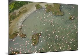 Aerial View of European Flamingo Flock in Flight, Bahía De Cádiz Np, Cádiz, Andalusia, Spain-López-Mounted Photographic Print