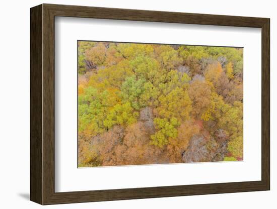 Aerial view of fall color, Marion County, Illinois-Richard & Susan Day-Framed Photographic Print