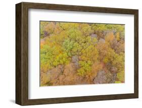 Aerial view of fall color, Marion County, Illinois-Richard & Susan Day-Framed Photographic Print