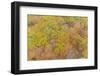 Aerial view of fall color, Marion County, Illinois-Richard & Susan Day-Framed Photographic Print