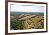 Aerial View of Farm Fields and Trees in Mid-West Missouri Early Morning-Steve Collender-Framed Photographic Print