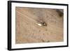 Aerial View of Farmer on Dirt Road in Bagan, Myanmar-Harry Marx-Framed Photographic Print