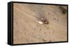 Aerial View of Farmer on Dirt Road in Bagan, Myanmar-Harry Marx-Framed Stretched Canvas