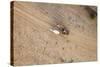 Aerial View of Farmer on Dirt Road in Bagan, Myanmar-Harry Marx-Stretched Canvas