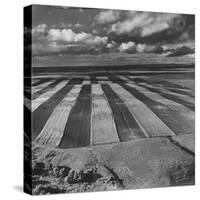 Aerial View of Farmland-Stan Wayman-Stretched Canvas