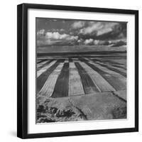 Aerial View of Farmland-Stan Wayman-Framed Photographic Print