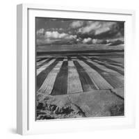 Aerial View of Farmland-Stan Wayman-Framed Photographic Print