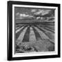 Aerial View of Farmland-Stan Wayman-Framed Photographic Print