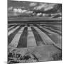 Aerial View of Farmland-Stan Wayman-Mounted Photographic Print