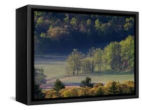 Aerial View of Forest in Cades Cove, Great Smoky Mountains National Park, Tennessee, USA-Adam Jones-Framed Stretched Canvas