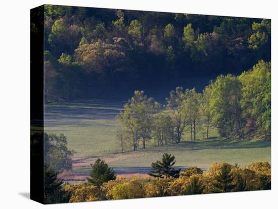 Aerial View of Forest in Cades Cove, Great Smoky Mountains National Park, Tennessee, USA-Adam Jones-Stretched Canvas