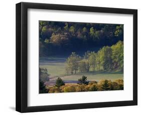 Aerial View of Forest in Cades Cove, Great Smoky Mountains National Park, Tennessee, USA-Adam Jones-Framed Photographic Print