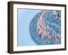 Aerial View of Forest River in Time of Winter Day.-Vladimir Melnikov-Framed Photographic Print