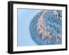 Aerial View of Forest River in Time of Winter Day.-Vladimir Melnikov-Framed Photographic Print