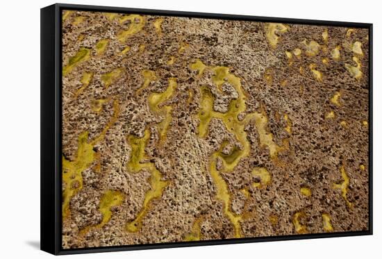 Aerial View of Forsinard Flows Blanket Bog, Forsinard, Caithness, Scotland, UK, May 2012-Peter Cairns-Framed Stretched Canvas