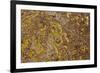 Aerial View of Forsinard Flows Blanket Bog, Forsinard, Caithness, Scotland, UK, May 2012-Peter Cairns-Framed Photographic Print