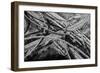 Aerial view of freeway interchange, City Of Los Angeles, Los Angeles County, California, USA-Panoramic Images-Framed Photographic Print