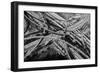 Aerial view of freeway interchange, City Of Los Angeles, Los Angeles County, California, USA-Panoramic Images-Framed Photographic Print